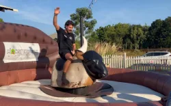 Dual Bucking Bulls