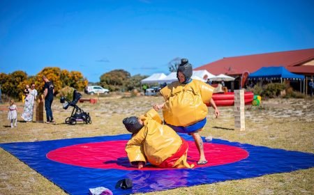 Sumo Suit Wrestling